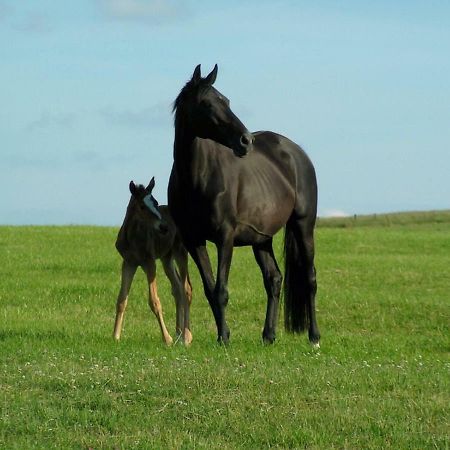 Gite De Solama Avec Spa Balleville Esterno foto