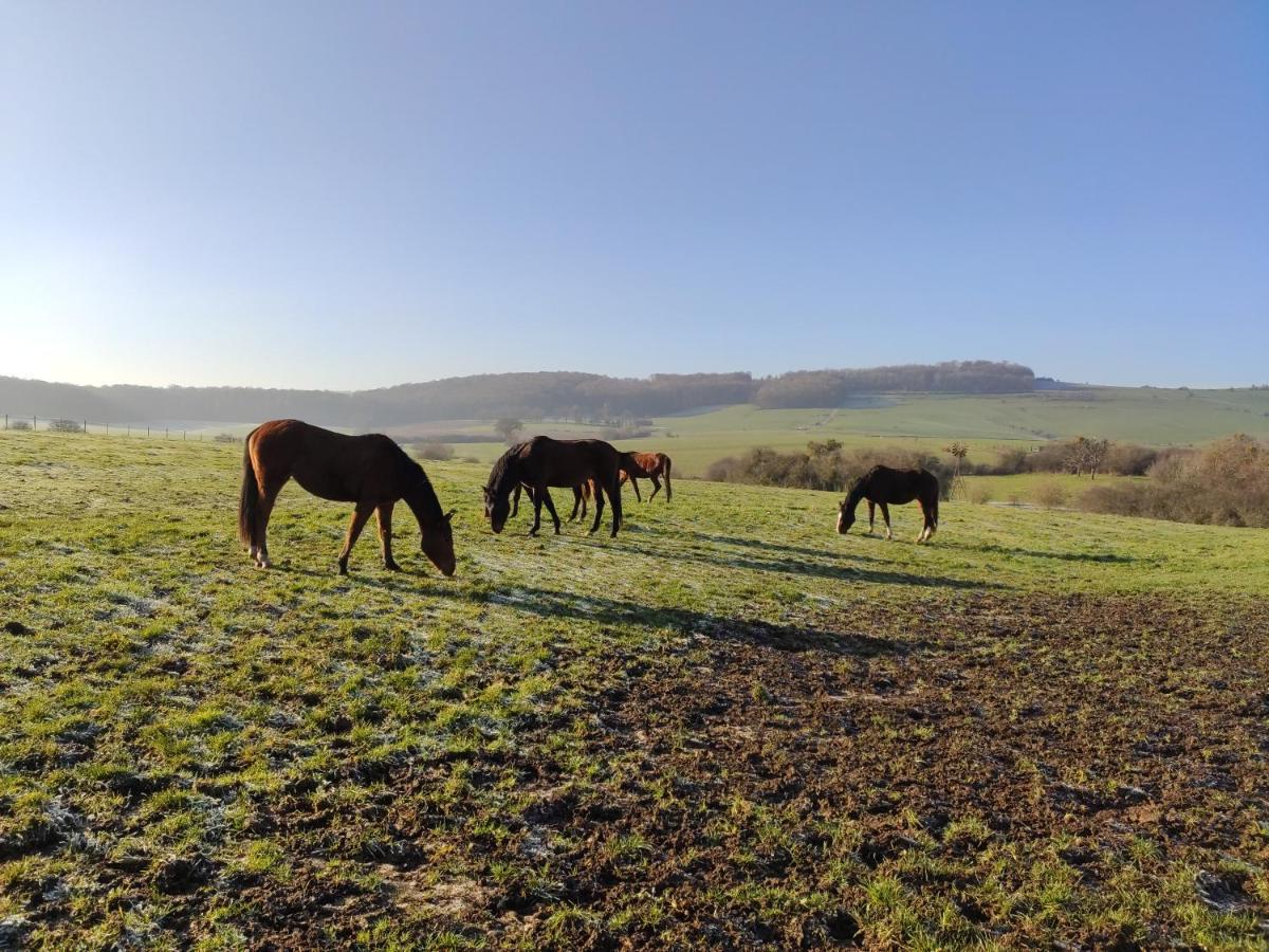 Gite De Solama Avec Spa Balleville Esterno foto