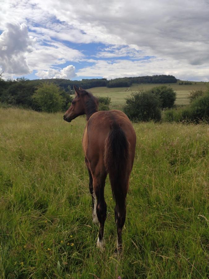 Gite De Solama Avec Spa Balleville Esterno foto