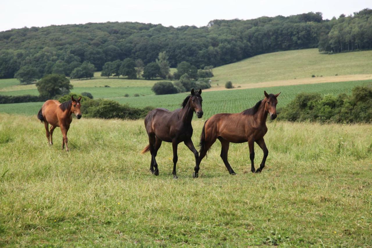 Gite De Solama Avec Spa Balleville Esterno foto
