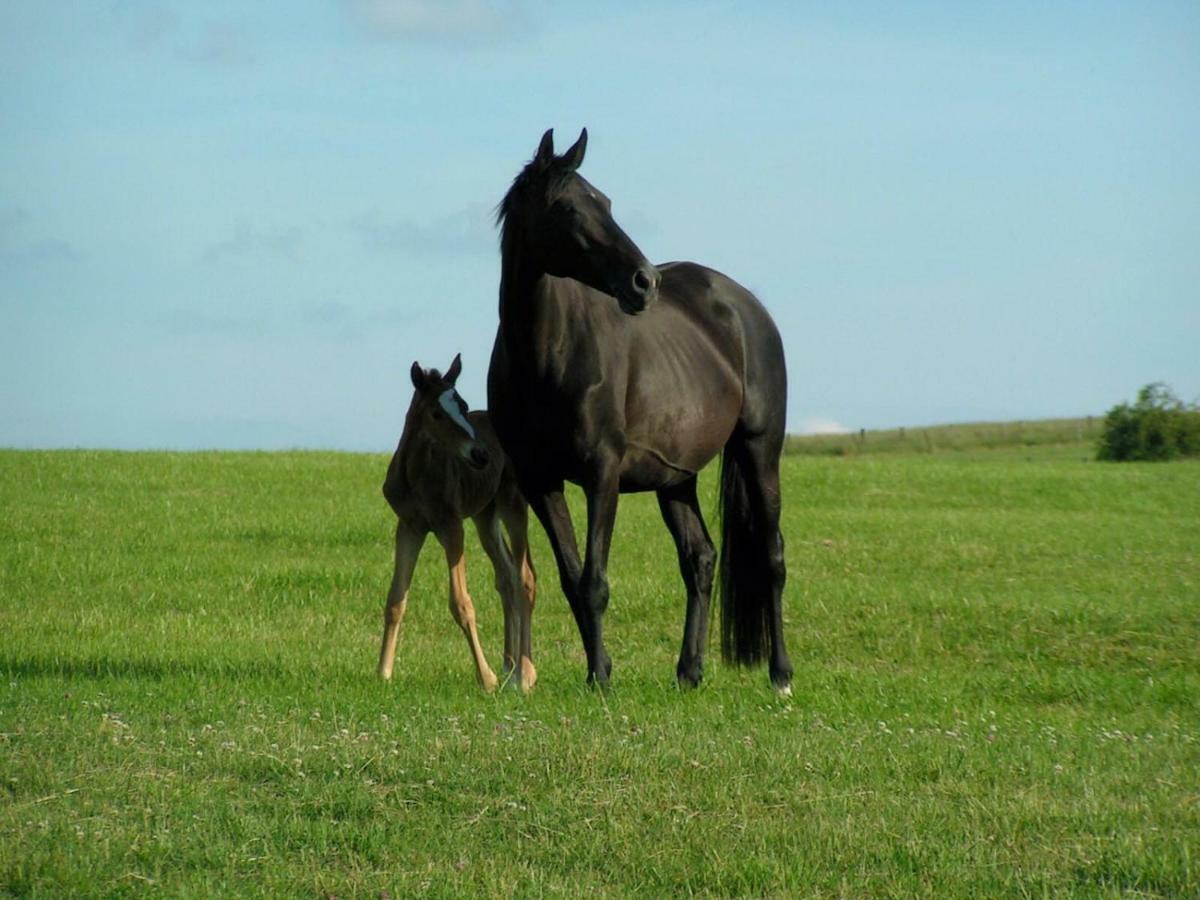 Gite De Solama Avec Spa Balleville Esterno foto